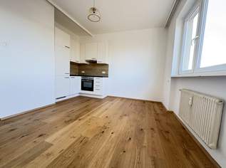 Ideale 1 Zimmerwohnung an der Unionstrasse 33, 449.85 €, Immobilien-Wohnungen in Oberösterreich Ideale 1 Zimmerwohnung an der Unionstrasse 33, 449.85 €, Immobilien-Wohnungen in Oberösterreich