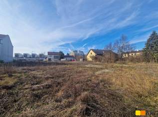 Zwei nebeneinander liegende, sonnige Baugrundstücke in Stammersdorf, 749000 €, Immobilien-Grund und Boden in 1210 Floridsdorf