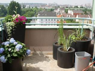 "AUSSERgeWOHNlichALLES!", 449000 €, Immobilien-Wohnungen in 1110 Simmering
