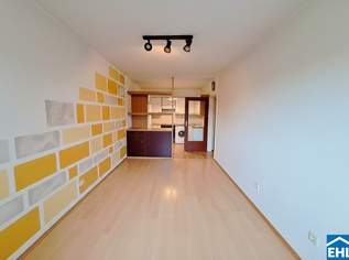 3-Zimmer-Wohnung mit Entwicklungspotenzial in Toplage des 20. Bezirks, 275000 €, Immobilien-Wohnungen in 1200 Brigittenau