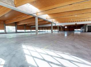 Neubau im Großformat :Unternehmens- standort im Salzburger Süden - Baurecht, 4400000 €, Immobilien-Gewerbeobjekte in 5082 Grödig Neubau im Großformat :Unternehmens- standort im Salzburger Süden - Baurecht, 4400000 €, Immobilien-Gewerbeobjekte in 5082 Grödig