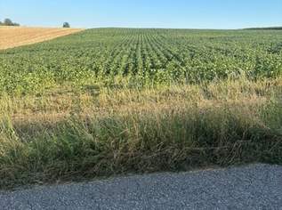 ACKERFLÄCHE IN PIXENDORF - ZUSAMMENHÄNGENDE LANDWIRTSCHAFTLICHE FLÄCHE, 301140 €, Immobilien-Grund und Boden in 3441 Pixendorf ACKERFLÄCHE IN PIXENDORF - ZUSAMMENHÄNGENDE LANDWIRTSCHAFTLICHE FLÄCHE, 301140 €, Immobilien-Grund und Boden in 3441 Pixendorf