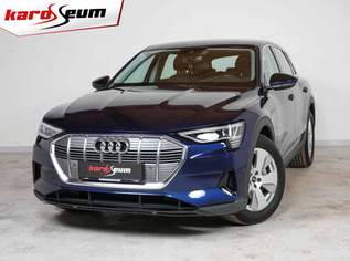 e-tron 50 quattro *TEMPO*SHZ*RFK*DAB*LED*, 33290 €, Auto & Fahrrad-Autos in 4693 Desselbrunn e-tron 50 quattro *TEMPO*SHZ*RFK*DAB*LED*, 33290 €, Auto & Fahrrad-Autos in 4693 Desselbrunn