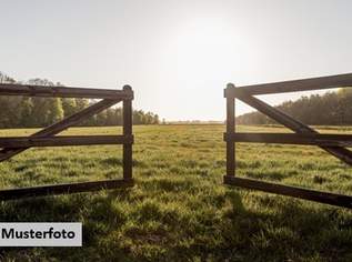 Landwirtschaftsflächen + provisionsfrei +, 107000 €, Immobilien-Grund und Boden in 7142 Illmitz