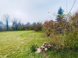 Aufgeschlossenes Baugrundstück für Ihr Traumhaus, 125000 €, Immobilien-Grund und Boden in 2731 Saubersdorf