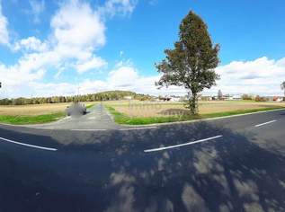 Spitzen Lage!, 785000 €, Immobilien-Grund und Boden in 7411 Markt Allhau Spitzen Lage!, 785000 €, Immobilien-Grund und Boden in 7411 Markt Allhau