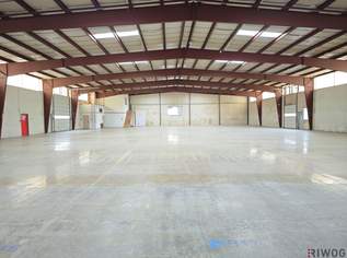 1.800m² Halle mit Rampen und ebenerdiger Einfahrt | 250m² Büro | ca. 4.000m² Grund, 2960000 €, Immobilien-Gewerbeobjekte in 2301 Gemeinde Groß-Enzersdorf