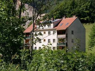 Raum für Ihre persönlichen Wohnideen I 2 Zimmer Wohnung, 438.75 €, Immobilien-Wohnungen in 3170 Gemeinde Hainfeld
