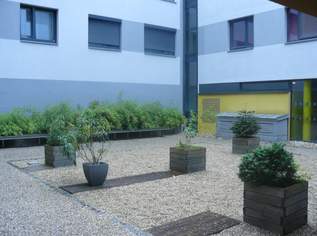 Mietwohnung in der Donaustadt, 1350 €, Immobilien-Wohnungen in 1220 Donaustadt