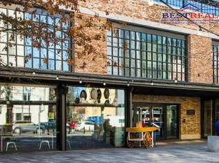 Bürozentrum mit 1.640 m² Freiflächen, 36000 €, Immobilien-Gewerbeobjekte in 1060 Mariahilf Bürozentrum mit 1.640 m² Freiflächen, 36000 €, Immobilien-Gewerbeobjekte in 1060 Mariahilf