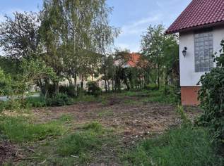 Sonniges Baugrundstück mit Bestandshaus in Grün- und Ruhelage, 329900 €, Immobilien-Grund und Boden in 2231 Strasshof an der Nordbahn