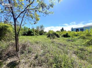 Baugrundstück, 440000 €, Immobilien-Grund und Boden in 2301 Gemeinde Groß-Enzersdorf