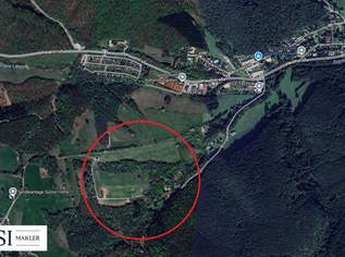 Exklusives Entwicklungsareal für Hotel- und Freizeitprojekte nahe Wien, 2150000 €, Immobilien-Grund und Boden in 2391 Gemeinde Kaltenleutgeben