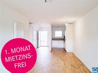 Die Zukunft des Wohnens im Smart Stick, 910 €, Immobilien-Wohnungen in 8020 