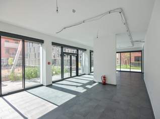 Moderne Geschäftsfläche in Neubausiedlung nahe Badeteich Hirschtetten, 3259.63 €, Immobilien-Gewerbeobjekte in 1220 Donaustadt