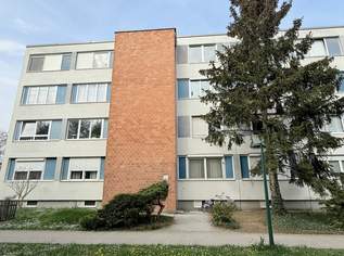Sanierungsbedürftige 3-Zimmer-Wohnung in ruhiger Grünlage der Südstadt, 230000 €, Immobilien-Wohnungen in 2344 Gemeinde Maria Enzersdorf