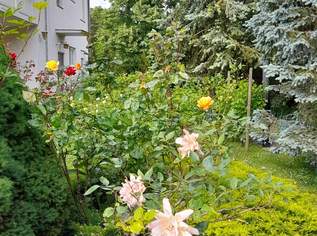 Ein-/Zweifamilienhaus in Riedenthal bei Wolkersdorf, provisionsfrei