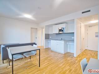 möblierte Apartments zur Kurzzeitmiete (2-12 Monate) / furnished apartments for short-term rental (2-12 months), 989 €, Immobilien-Wohnungen in 1100 Favoriten
