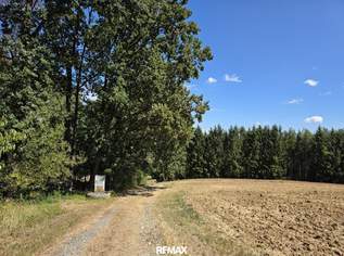 Waldgrundstücke in Deutsch Kaltenbrunn, 6000 €, Immobilien-Grund und Boden in 7572 Deutsch Kaltenbrunn