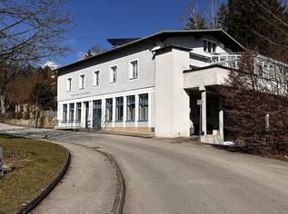 Büro, Geschäftslokal, Ordination, 1733.6 €, Immobilien-Gewerbeobjekte in 3270 Gemeinde Scheibbs