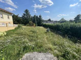 Baugrund mit Altbaumbestand ohne Bauzwang zu verkaufen, 149000 €, Immobilien-Grund und Boden in 7024 Hirm Baugrund mit Altbaumbestand ohne Bauzwang zu verkaufen, 149000 €, Immobilien-Grund und Boden in 7024 Hirm