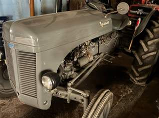 Massey Ferguson TED 20 Bj 53 BENZINMOTOR!!!!!