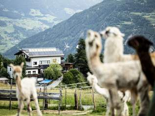 Modernisierter Bergbauernhof mit 3 Wohnungen und Loft in Serfaus l Tirol 