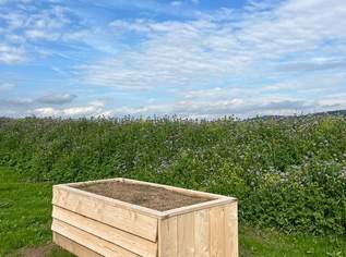 Garten neu angelegt