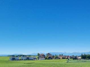 Erstbezug: Stilvolle Dachgeschosswohnung in idyllischer Lage!, 890 €, Immobilien-Wohnungen in 5142 Eggelsberg