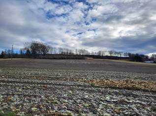 Landwirtschaftlicher Nutzgrund in Alkoven, 234000 €, Immobilien-Grund und Boden in 4072 Alkoven