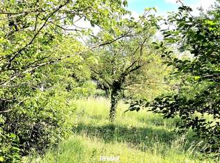 Baugrundstück in Gols, Burgenland – Eigenheim-Traum, 222222 €, Immobilien-Grund und Boden in 7122 Gols Baugrundstück in Gols, Burgenland – Eigenheim-Traum, 222222 €, Immobilien-Grund und Boden in 7122 Gols