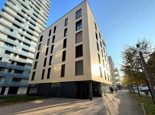 Urbaner Wohnkomfort – Moderne 3-Zimmer-Wohnung in Linz!, 1373.19 €, Immobilien-Wohnungen in Oberösterreich