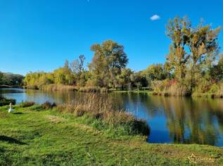 TRAUMLAGE. NÄHE U2 DONAUSPITAL! BAUGRUND DIREKT AM MÜHLWASSER., 370000 €, Immobilien-Grund und Boden in 1220 Donaustadt TRAUMLAGE. NÄHE U2 DONAUSPITAL! BAUGRUND DIREKT AM MÜHLWASSER., 370000 €, Immobilien-Grund und Boden in 1220 Donaustadt