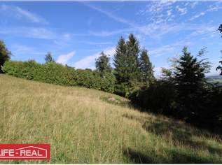 Grundstücke, 189000 €, Immobilien-Grund und Boden in 4902 Wolfsegg am Hausruck Grundstücke, 189000 €, Immobilien-Grund und Boden in 4902 Wolfsegg am Hausruck