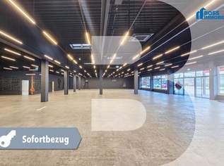 Modernisierte Gewerbefläche mit Top-Sichtbarkeit – vielseitig nutzbar, 9173 €, Immobilien-Gewerbeobjekte in 4050 Traun