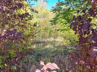 Baugrundstück mit 849 m² in Katzelsdorf – Frohsdorfersiedlung, 299000 €, Immobilien-Grund und Boden in 2801 Gemeinde Katzelsdorf