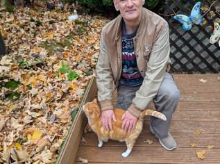 Seelenmännlein sucht seelenfräulein, null €, Marktplatz-Kontakte & Bekanntschaften in 3874 Litschau