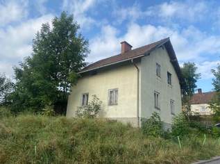 Handwerkerkönig gesucht! Abbruchobjekt, Bauland, Wiese und Wald!, 91000 €, Immobilien-Häuser in 2833 Breitenbuch