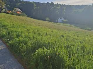 Großes Baugrundstück (teilbar)!, 0 €, Immobilien-Grund und Boden in 8570 Voitsberg Großes Baugrundstück (teilbar)!, 0 €, Immobilien-Grund und Boden in 8570 Voitsberg