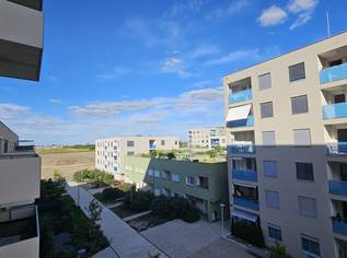 BILLIGER WIRDS NIMMA! 6,5% WINTERRABATT!, 311492.75 €, Immobilien-Wohnungen in 1220 Donaustadt