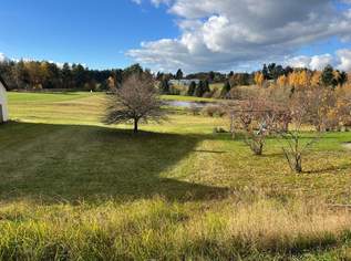 Baugrundstück direkt am Golfplatz Haugschlag, 24000 €, Immobilien-Grund und Boden in 3874 Haugschlag Baugrundstück direkt am Golfplatz Haugschlag, 24000 €, Immobilien-Grund und Boden in 3874 Haugschlag