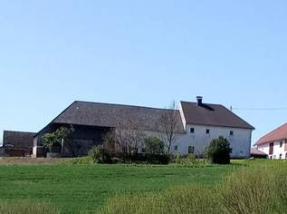 Dieses Haus mit Potential im Mühlviertel wartet auf einen neuen Besitzer!, 260000 €, Immobilien-Häuser in 4173 Sankt Veit im Mühlkreis Dieses Haus mit Potential im Mühlviertel wartet auf einen neuen Besitzer!, 260000 €, Immobilien-Häuser in 4173 Sankt Veit im Mühlkreis