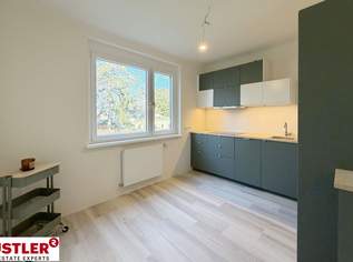 neu sanierte 2 Zimmerwohnung in Zentrumsnähe, 943.04 €, Immobilien-Wohnungen in 2340 Gemeinde Mödling neu sanierte 2 Zimmerwohnung in Zentrumsnähe, 943.04 €, Immobilien-Wohnungen in 2340 Gemeinde Mödling