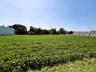 Attraktives Gewerbegrundstück als BAURECHT im Industriegebiet Oberwart, 0 €, Immobilien-Gewerbeobjekte in 7400 Oberwart Attraktives Gewerbegrundstück als BAURECHT im Industriegebiet Oberwart, 0 €, Immobilien-Gewerbeobjekte in 7400 Oberwart