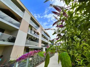 55qm- 2ZI- Südbalkonwohnung, Lift, Tiefgarage, Kasernstraße, 1071 €, Immobilien-Wohnungen in 3500 Am Steindl