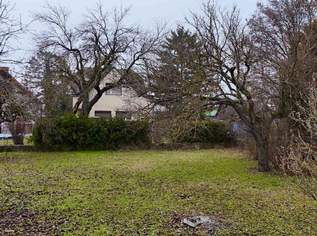 Ein Grundstück, auf dem Träume wachsen, 990000 €, Immobilien-Grund und Boden in 1220 Donaustadt Ein Grundstück, auf dem Träume wachsen, 990000 €, Immobilien-Grund und Boden in 1220 Donaustadt