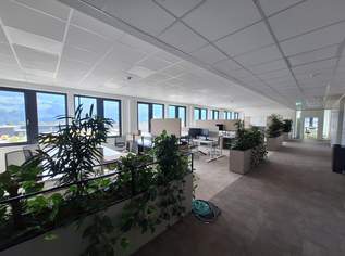 Individuell gestaltbare moderne Büroflächen mit direkter Autobahnanbindung!, 13448.66 €, Immobilien-Gewerbeobjekte in 6134 Vomp Individuell gestaltbare moderne Büroflächen mit direkter Autobahnanbindung!, 13448.66 €, Immobilien-Gewerbeobjekte in 6134 Vomp