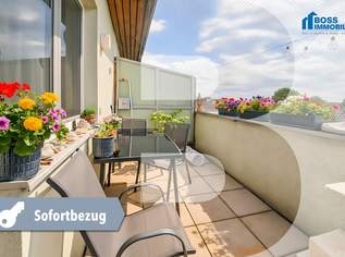 Lille | mit Terrasse, 657 €, Immobilien-Wohnungen in 4050 Traun Lille | mit Terrasse, 657 €, Immobilien-Wohnungen in 4050 Traun