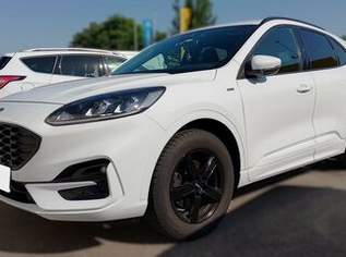 KUGA 1,5 DIESEL *ST-Line* I AUTOMATIK I, 19490 €, Auto & Fahrrad-Autos in Niederösterreich KUGA 1,5 DIESEL *ST-Line* I AUTOMATIK I, 19490 €, Auto & Fahrrad-Autos in Niederösterreich