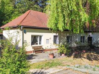 2061 m2 großer Traumgrund neben dem Wald mit sanierungsbedürftigem Althausbestand, 648000 €, Immobilien-Häuser in 2551 Enzesfeld